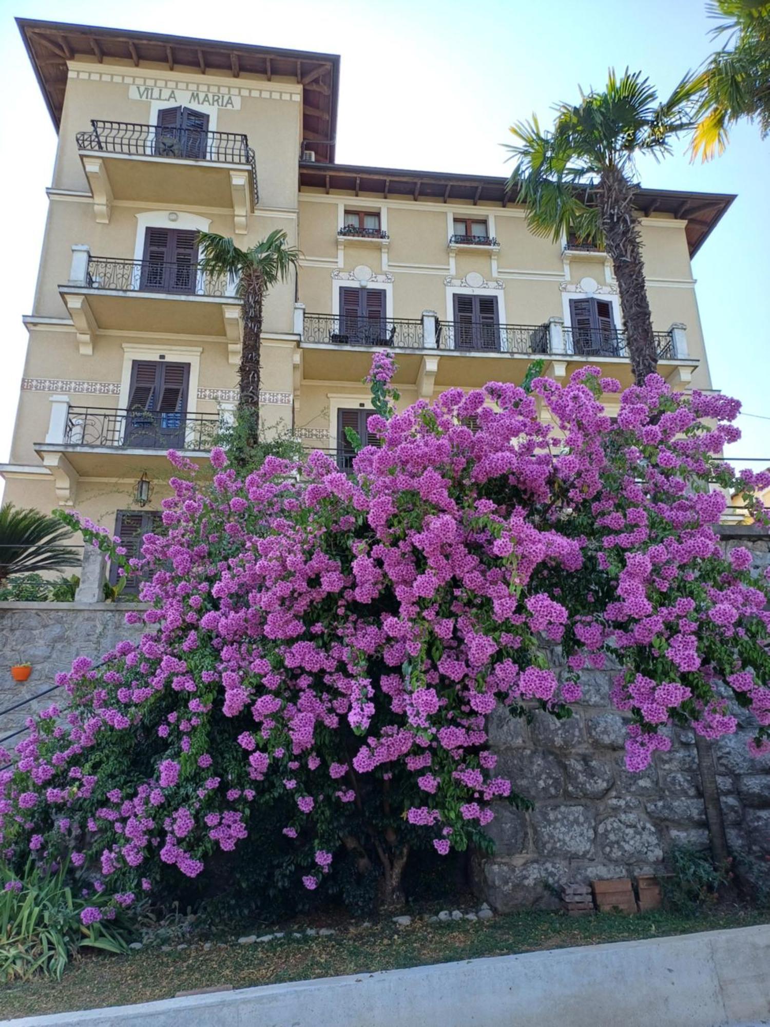 Villa Marija Lovran Bagian luar foto